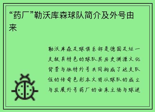 “药厂”勒沃库森球队简介及外号由来